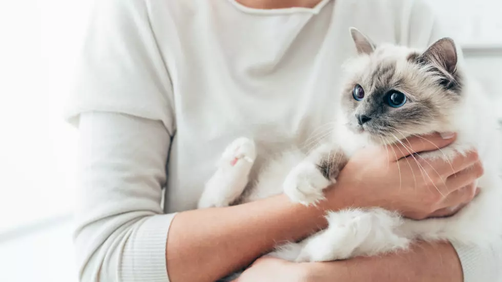 A Dozen of the Best Pets for Social Distancing