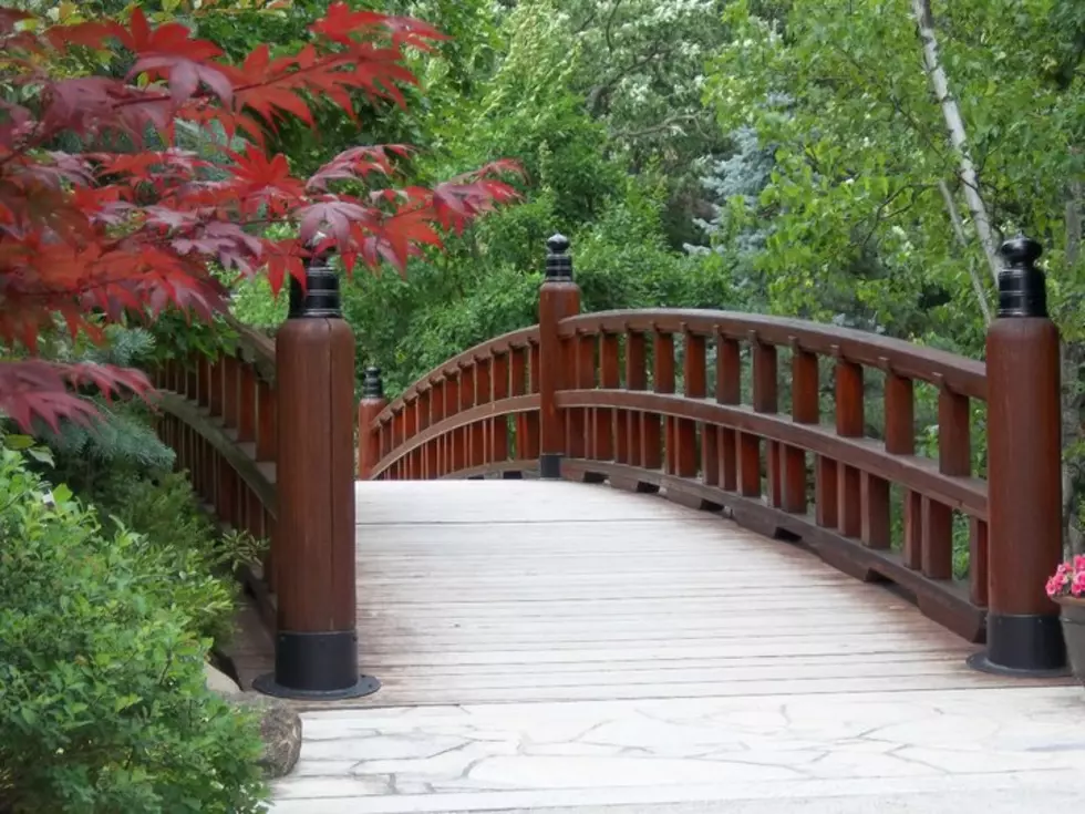 Anderson Japanese Gardens Open Friday For The 2019 Season