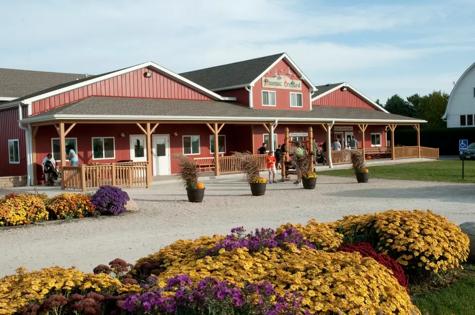 Jonamac Orchard