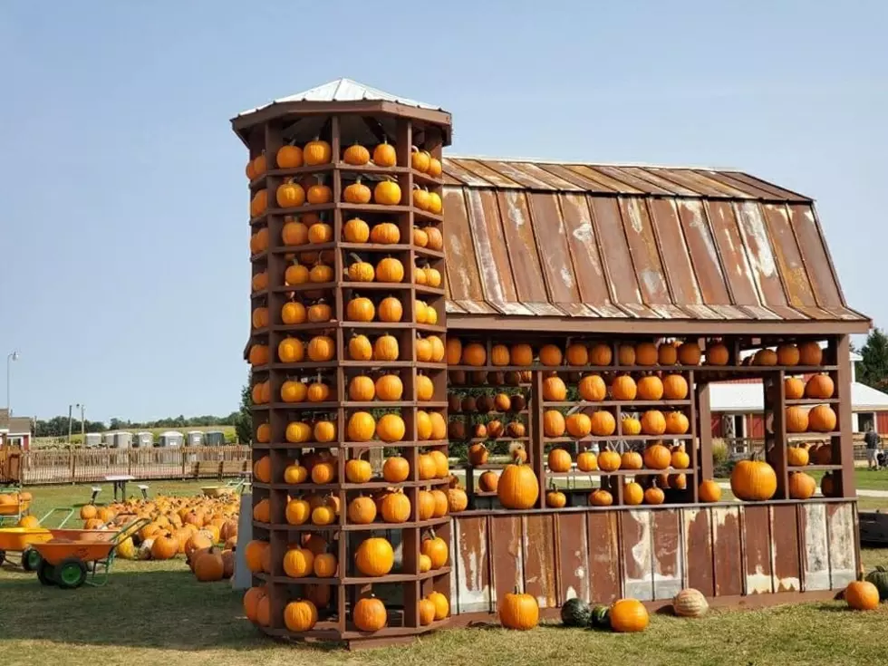 Jonamac Orchard