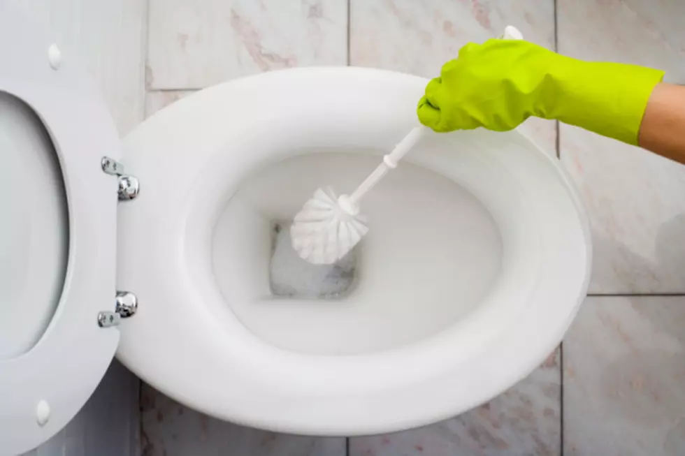 7 things dirtier than a toilet seat