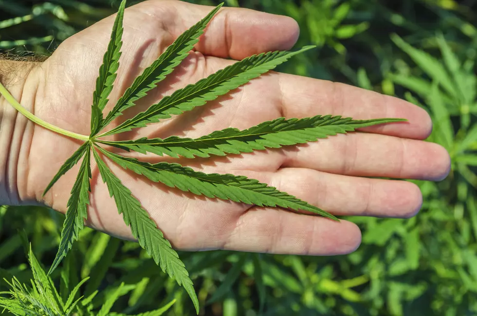 Loves Park Home to New CBD Oil Store