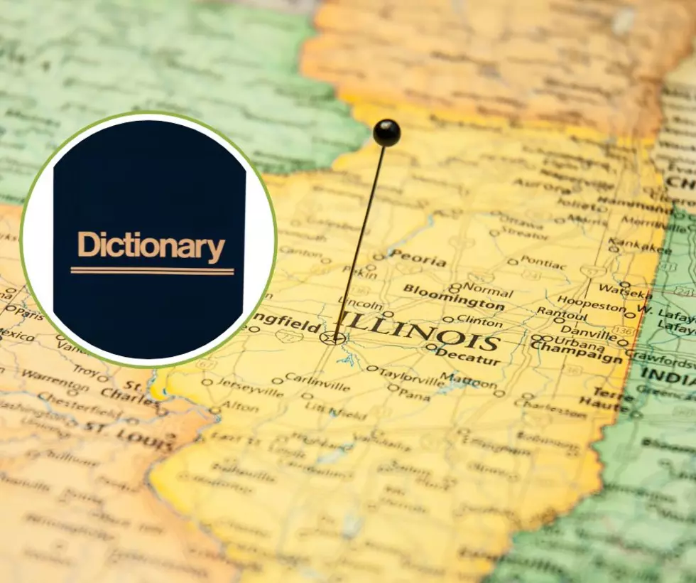 Do Illinois Residents Have Their Own Language?