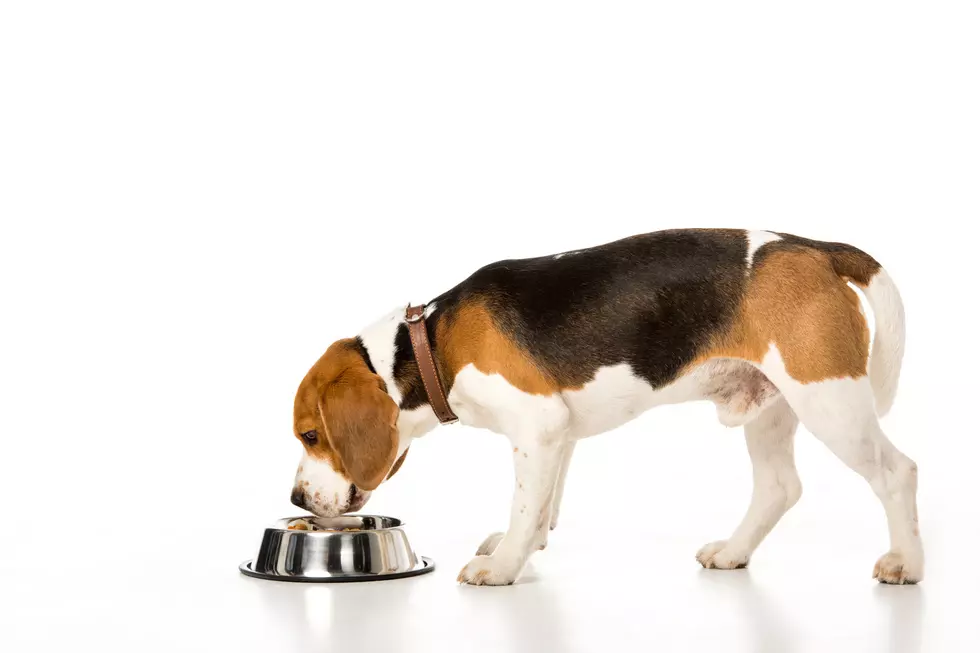 Illinois Thieves Steal Over $600K In Dog Food