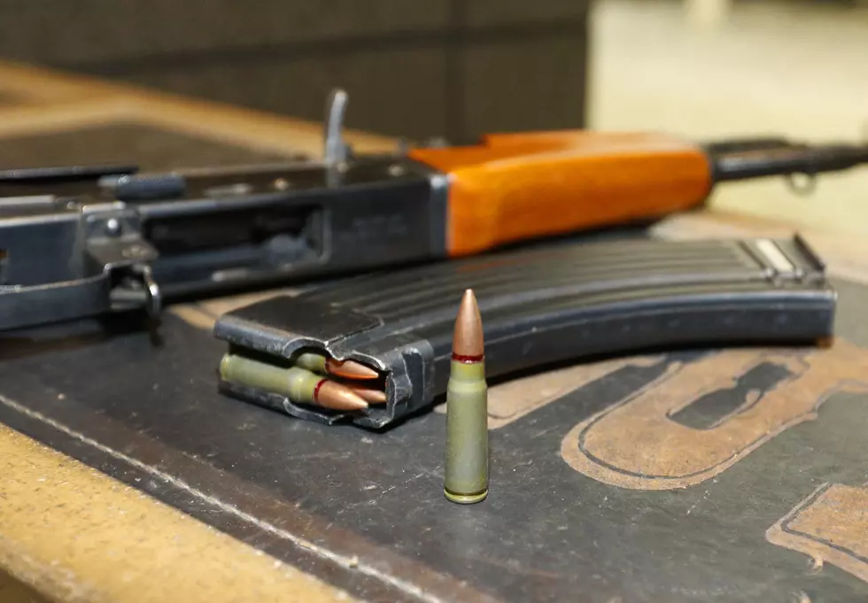 Illinois Senate To Consider Bills To Ban and Surrender Guns This Wednesday
