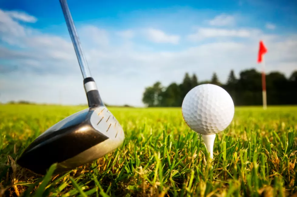 Look for a Rockfordian in the PGA Professional Championship
